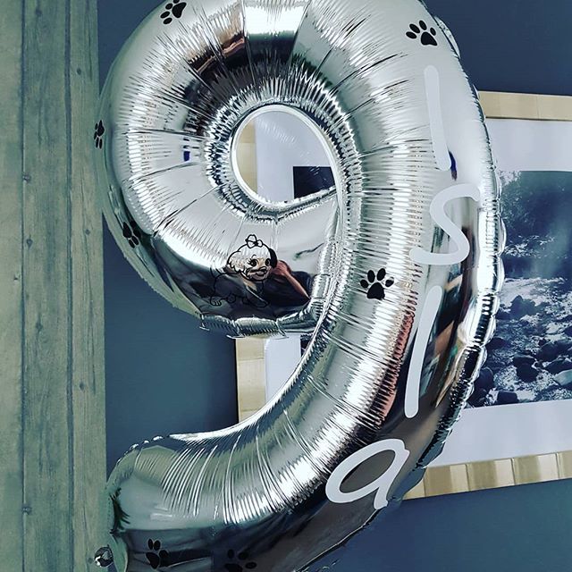 Foil_Number_Balloon_9_001